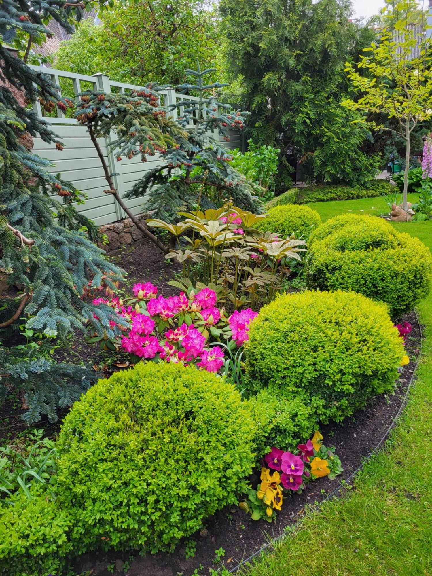 פלאנגה Vila Florena Garden מראה חיצוני תמונה