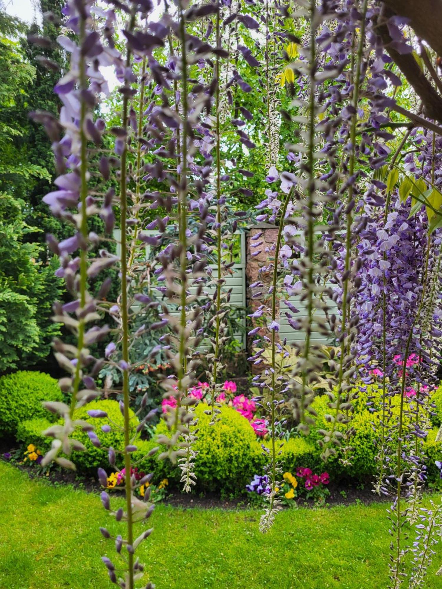פלאנגה Vila Florena Garden מראה חיצוני תמונה